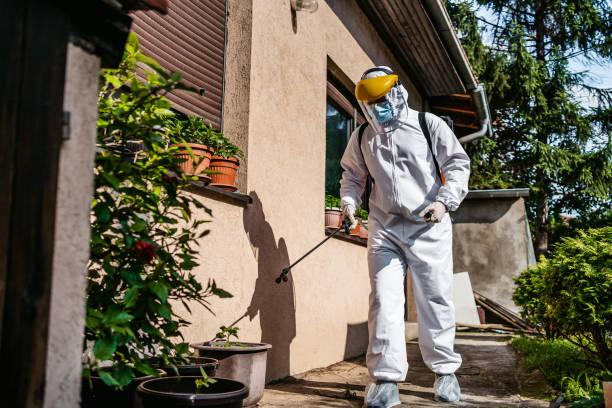 Best Best Pest Control Companies  in Oceano, CA