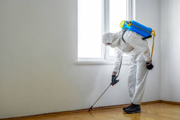 Best Affordable Pest Control Services  in Oceano, CA